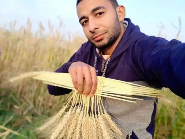 Wheat bride harvest offering
